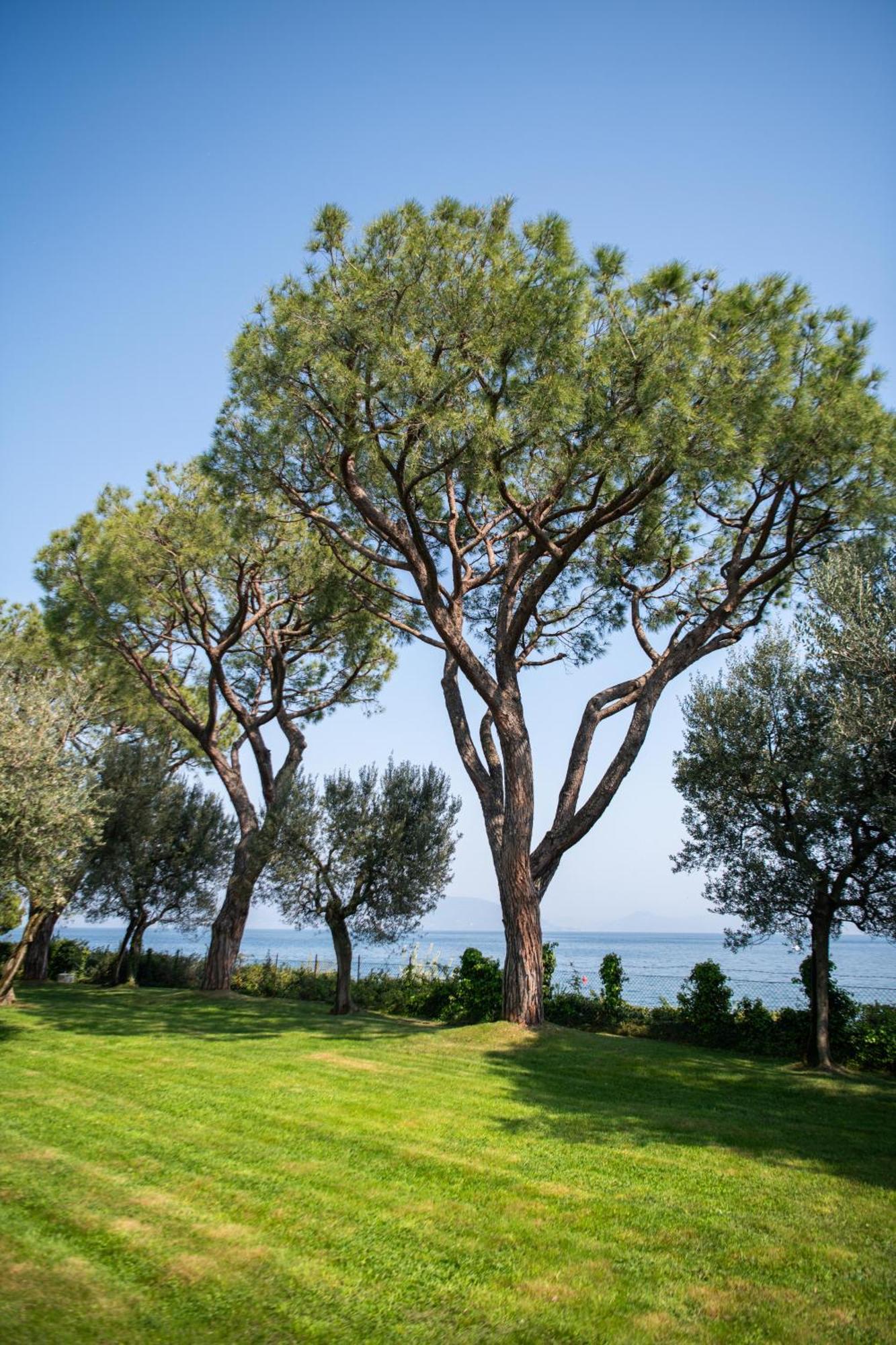 Villa Elena Manerba del Garda Ngoại thất bức ảnh